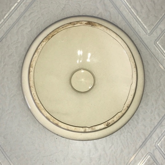 TIENSHAN Sponge Blue Goose Large Canister & Lid - Picture 6 of 7